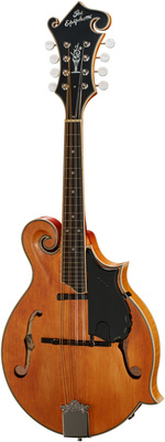 Epiphone MM-50E VN