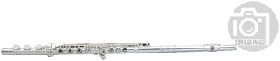 Pearl Flutes Dolce PF-695 BE