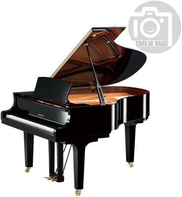 Yamaha C 2 X PWH