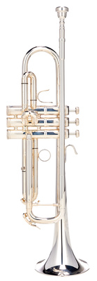 B&S 3143/2LR-S Challenger II L