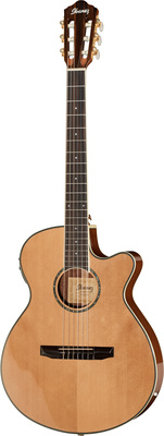 Ibanez AEG10NII-NT