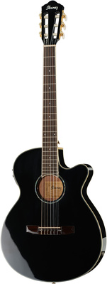 Ibanez AEG10NII-BK
