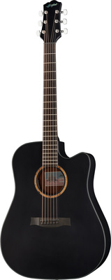 Stanford D 40 CM ECW BKS