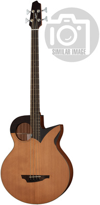 Stanford Robot 4 fretted