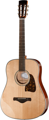 Ibanez AVD1-NT
