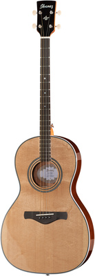 Ibanez AVT1-NT