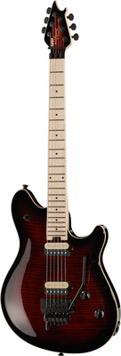 Evh Wolfgang Special BCB