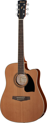 Ibanez PF17ECE-LG