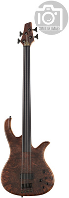 Human Base Jonas 4 Walnut Fretless