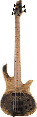 Human Base Jonas 5 Buckeye Burl