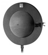 Haun OSS Schneider Disk