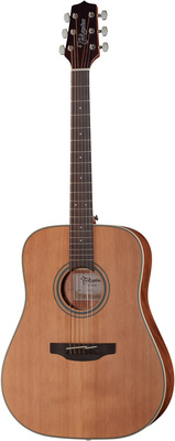 Takamine GD20-NA