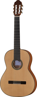 Amalio Burguet Andante Walnut Spruce