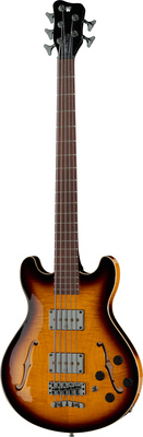 Warwick GPS Star Bass 5 VSB HP