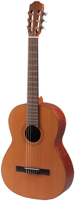 Raimundo 103-C estudio NS