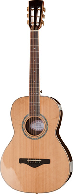 Ibanez AVNZ15LTD-NT