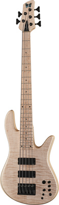Fodera Viceroy Deluxe 5