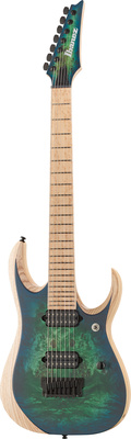 Ibanez RGDIX7MPB-SBB Iron Label