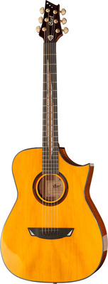 Cort Frank Gambale Signature
