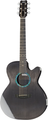 Rainsong CO-WS1000N2 Concert