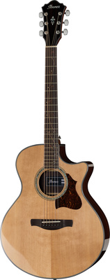 Ibanez AE305-NT