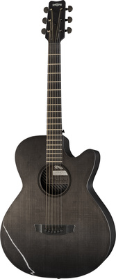 Rainsong CH-WS1000NS Concert