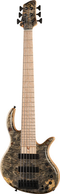 Elrick Gold E-volution 6 BO