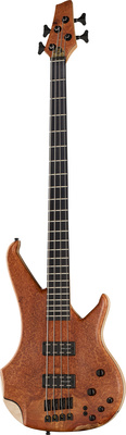 Human Base Max 4 Amboina Burl