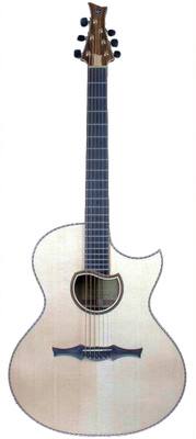 Cuntz Guitars CWG23S HGM Petteri Sariola