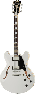 DAngelico Premier DC White