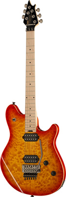 Evh Wolfgang WG Standard CB