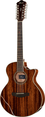 Ibanez AE2412-NT