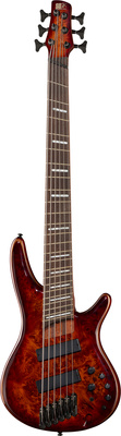 Ibanez SRMS806-BTT Workshop