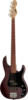 ESP LTD AP-204 Natural Satin