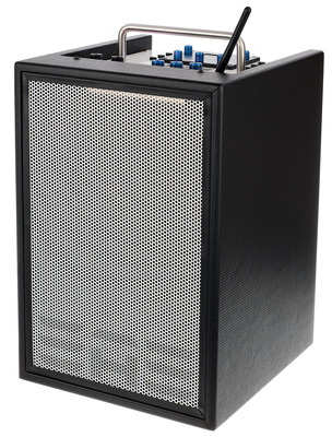 Elite Acoustics D6-8 Acoustic Amplifie B-Stock