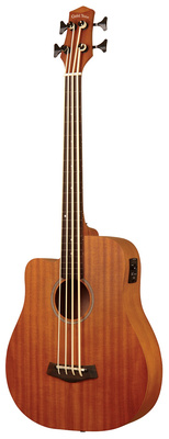 Gold Tone Micro Bass 25 w/Bag LH