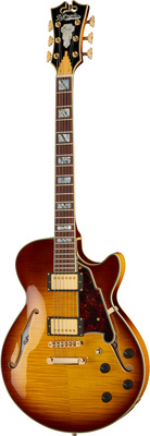 DAngelico Excel SS Iced Tea Burst
