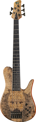 Fodera Imperial Elite 5 BB 2014