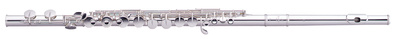 Pearl Flutes PFA 201 ES altinė fleita  