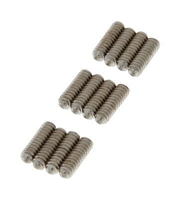 Fender Std Bass Bridge Saddle Screw bosinės gitaros tiltelio balnelio varžtas