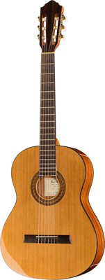 Höfner HZ25