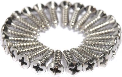 Fender Pickguard Screws Chrome gitaros skydelio varžtai