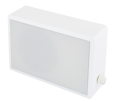 WHD ZL 135-G-T6-RE 100V White įmontuojamas garsiakalbis sienoms