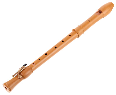 Mollenhauer 2296 Canta altinė fleita