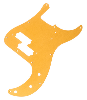Bosinių gitarų apsaugos