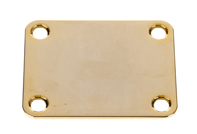 Harley Benton Parts HN001GD įvairios gitarų atsarginės dalys