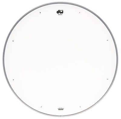 DW 13" Coated snare būgno membrana