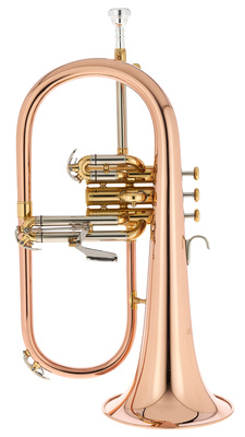 Thomann FH 600 G Bb-Flugelhorn B-Stock perinet fliugelhornas  