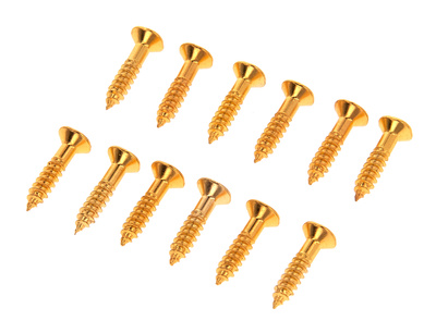 Harley Benton Parts Pickguard Screws Gold gitaros apsaugos varžtai  