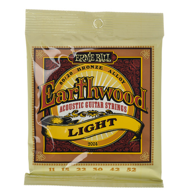 Ernie Ball 2004 Earthwood Bronze akustinės gitaros stygos